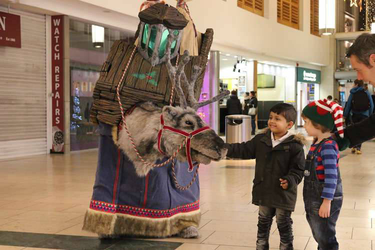 Reindeer Walkabout Act