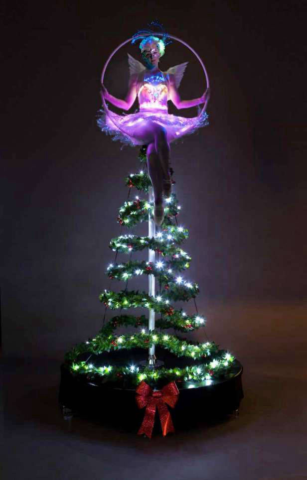 Hoop Acrobat Aerialist