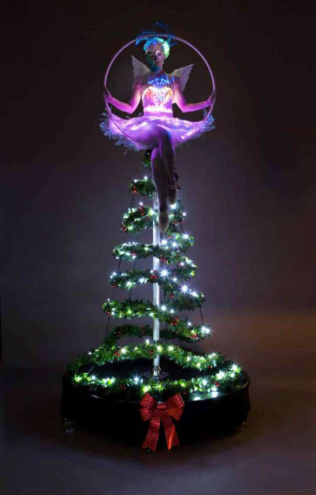 Hoop Acrobat Aerialist