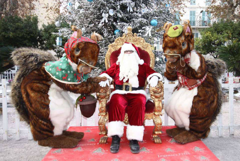 Squirrel Walkabout Act